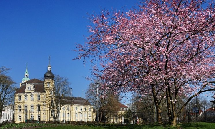 Frühlingsblüten im Schlossgarten. Foto: Hans-Jürgen Zietz