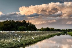 Gewitterwolken über dem Osternburger Kanal. Foto: Hans-Jürgen Zietz 