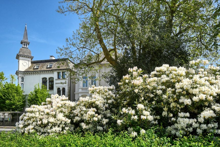 Hans-Jürgen Zietz Blühender Weißdorn am Haarenufer. Foto: Hans-Jürgen Zietz
