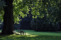 Schlossgarten im Spätsommer