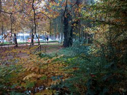 Es herbstet sehr. Foto: Werner Fuhlrott  