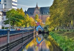 Stadtbäume in bunten Herbstfarben in Oldenburg. Foto: Hans-Jürgen Zietz Stadtbäume in bunten Herbstfarben in Oldenburg. Foto: Hans-Jürgen Zietz