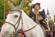 Graf Anton Günther beim Kramermarktsumzug 2017. Foto: Sascha Stüber