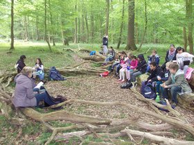Schulklasse im Wald. Foto: Stadt Oldenburg