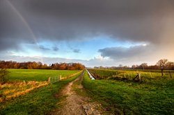 Unwetterstimmung über dem Landschaftsschutzgebiet Buschhagenniederung in Oldenburg. Foto: Hans-Jürgen Zietz