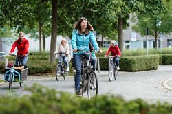 Mit dem Rad durch das grüne Oldenburg. Foto: Mittwollen und Gradetchliev