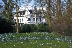 Krokusse im Schlossgarten. Foto: Hans-Jürgen Zietz.  