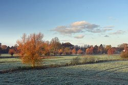 Spätherbstmorgen in der Buschhagenniederung bei Oldenburg. Foto: Hans-Jürgen Zietz 