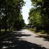 Vorschau: Allee auf dem Fliegerhorst. Foto: Stadt Oldenburg