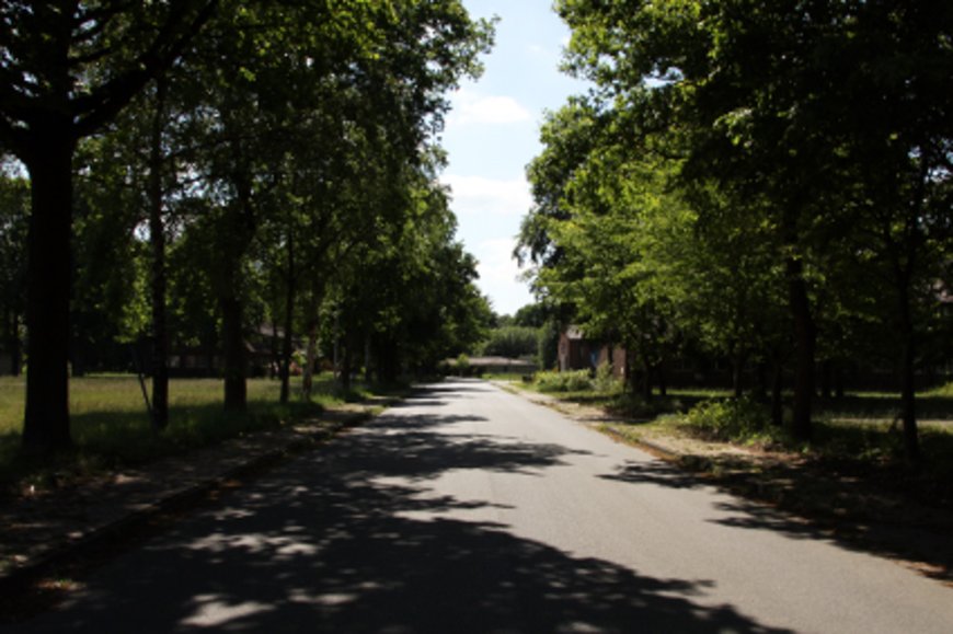 Allee auf dem Fliegerhorst. Foto: Stadt Oldenburg