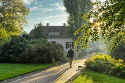 Frühherbst im Oldenburger Schlossgarten. Foto: Hans-Jürgen Zietz