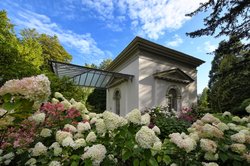 Hortensien am Tee-Pavillon im Schlossgarten. Foto: Hans-Jürgen Zietz