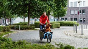 Hund im Lastenrad. Foto: Mittwollen und Gradetchliev