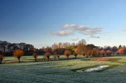 Spätherbstmorgen in der Buschhagenniederung bei Oldenburg. Foto: Hans-Jürgen Zietz 