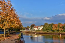 Goldener Oktober am Westfalendamm. Foto: Hans-Jürgen Zietz