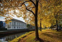 Herbstbunte Linden in der Oldenburger Innenstadt. Foto: Hans-Jürgen Zietz