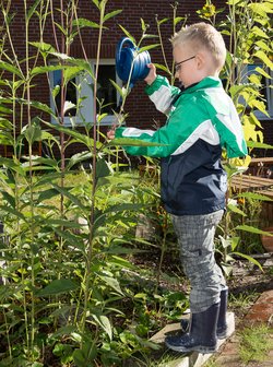 Kind spielt mit einer Gießkanne. Foto: Stadt Oldenburg Kind spielt mit einer Gießkanne. Foto: Stadt Oldenburg