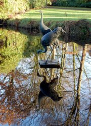 Die Kraniche mit Spiegellung im Wasser. Foto: Stadt Oldenburg