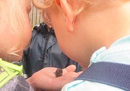 Kinder schauen eine Schnecke an. Foto: Stadt Oldenburg