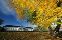 Herbst in den Wallanlagen. Foto: Hans-Jürgen Zietz