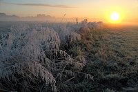 Rechts: Rauhreif und Morgennebel