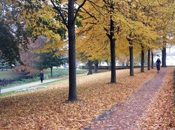 Herbstliches Oldenburg. Foto: Werner Fuhlrott 