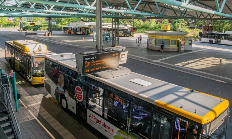 Busse der VWG stehen am ZOB. Foto: Mittwollen und Gradetchliev