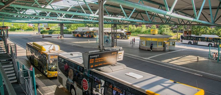 Busse der VWG stehen am ZOB. Foto: Mittwollen und Gradetchliev