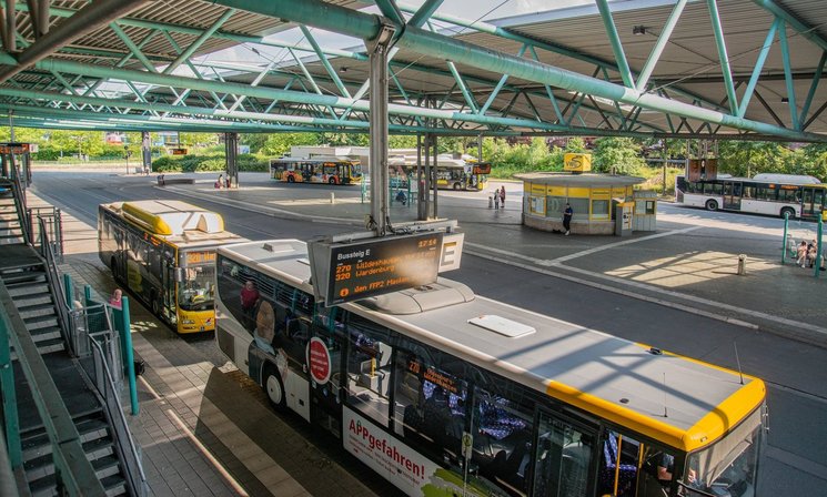 Busse der VWG stehen am ZOB. Foto: Mittwollen und Gradetchliev