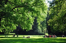 Schloßgarten. Foto: Hans-Jürgen Zietz 