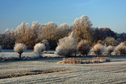 Wintermorgen in der Buschhagenniederung in Oldenburg. Foto: Hans-Jürgen Zietz 