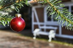 Weihnachtsstimmung im Oldenburger Schlossgarten. Foto: Hans-Jürgen Zietz