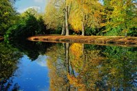 Schlossgarten. Foto: Hans-Jürgen Zietz