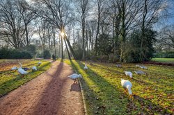 Sonniger Februarnachmittag im Oldenburger Schlossgarten. Foto: Hans-Jürgen Zietz Sonniger Februarnachmittag im Oldenburger Schlossgarten. Foto: Hans-Jürgen Zietz