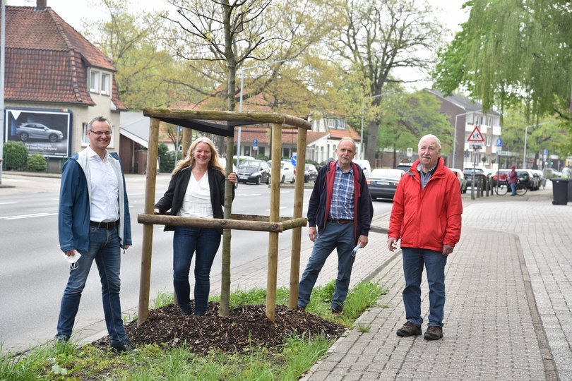 Freuen sich über die neuen Bäume an der Bloherfelder Straße: von links: Paul Behrens (1. Vorsitzender Bürgerverein Bloherfelde), Annette Meyers, Dirk Brenne (beide Stadt) und Rolf Grösch (Vorstand Bürgerverein). Foto: Tobias Frick