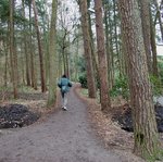 Laufbahn im Großen Bürgerbusch. Foto: Stadt Oldenburg