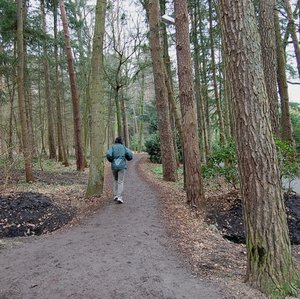 Laufbahn im Großen Bürgerbusch. Foto: Stadt Oldenburg Laufbahn im Großen Bürgerbusch. Foto: Stadt Oldenburg