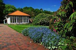 Schloßgarten. Foto: Hans-Jürgen Zietz 