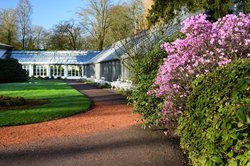 Vorfrühling im Oldenburger Schlossgarten. Foto: Hans-Jürgen Zietz