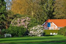 Frühlingstage im Oldenburger Schlossgarten. Foto: Hans-Jürgen Zietz