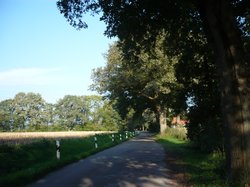 Drögen-Hasen-Weg. Foto: Stadt Oldenburg