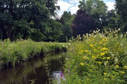 Bunte Sommer-Blüten im Oldenburger Schlossgarten. Foto: Hans-Jürgen Zietz Bunte Sommer-Blüten im Oldenburger Schlossgarten. Foto: Hans-Jürgen Zietz