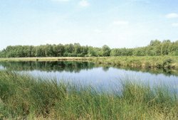 Blick auf das Wüschemeer. Foto: Stadt Oldenburg