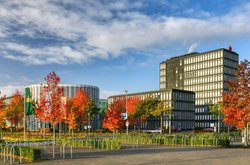 Farbenfrohes Herbstlaub rund um die Maastrichter Straße. Foto: Hans-Jürgen Zietz