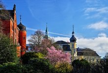 Frühlingstage im Oldenburger Schlossgarten. Foto: Hans-Jürgen Zietz