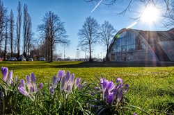 Grünanlage an der Weser-Ems-Halle. Foto: Hans-Jürgen Zietz