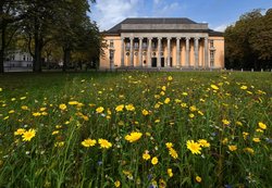 Blumenwiese am Alten Odenburgischen Landtag. Foto: Hans-Jürgen Zietz