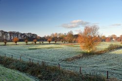 Spätherbstmorgen in der Buschhagenniederung bei Oldenburg. Foto: Hans-Jürgen Zietz 