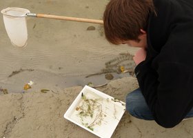 Schüler bei der Gewässeruntersuchung. Foto: Stadt Oldenburg