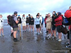 Wattwanderung. Foto: Nordseebad Spiekeroog